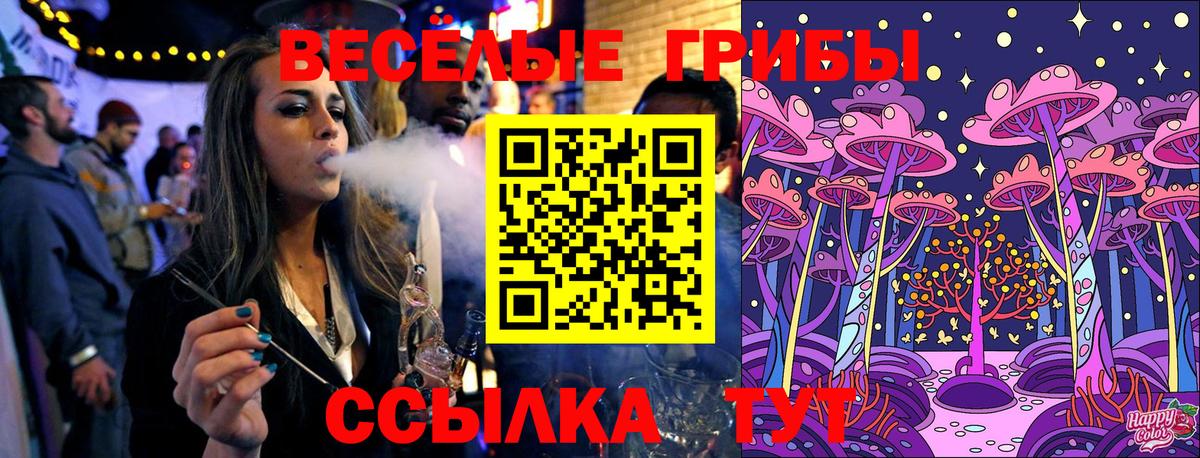 Галлюциногенные грибы Magic Shrooms Котлас