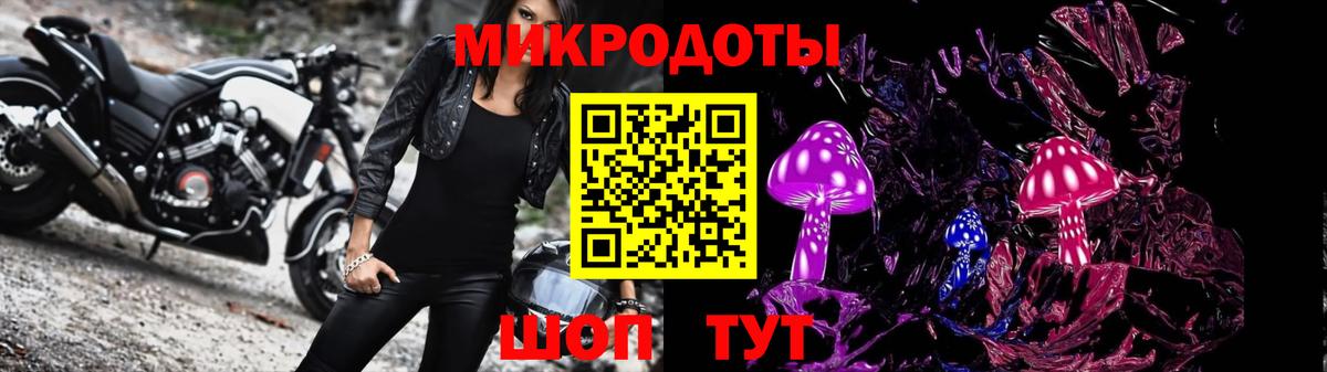 Котлас  Псилоцибиновые грибы прущие грибы  Вход с VPN 